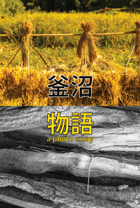 2014-exhibition-web